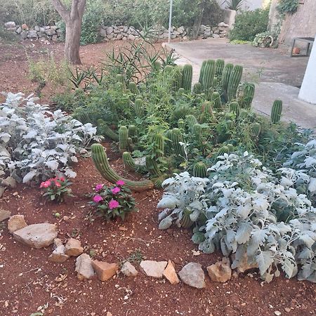 Apartment Bozava - Nena מראה חיצוני תמונה