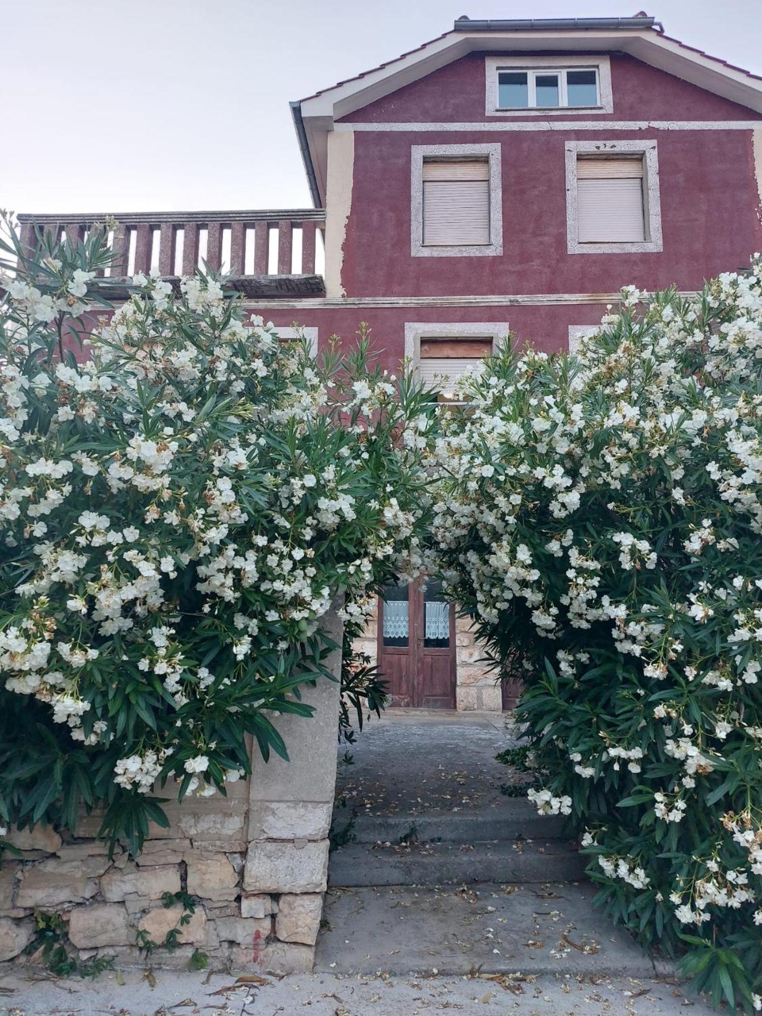 Apartment Bozava - Nena מראה חיצוני תמונה