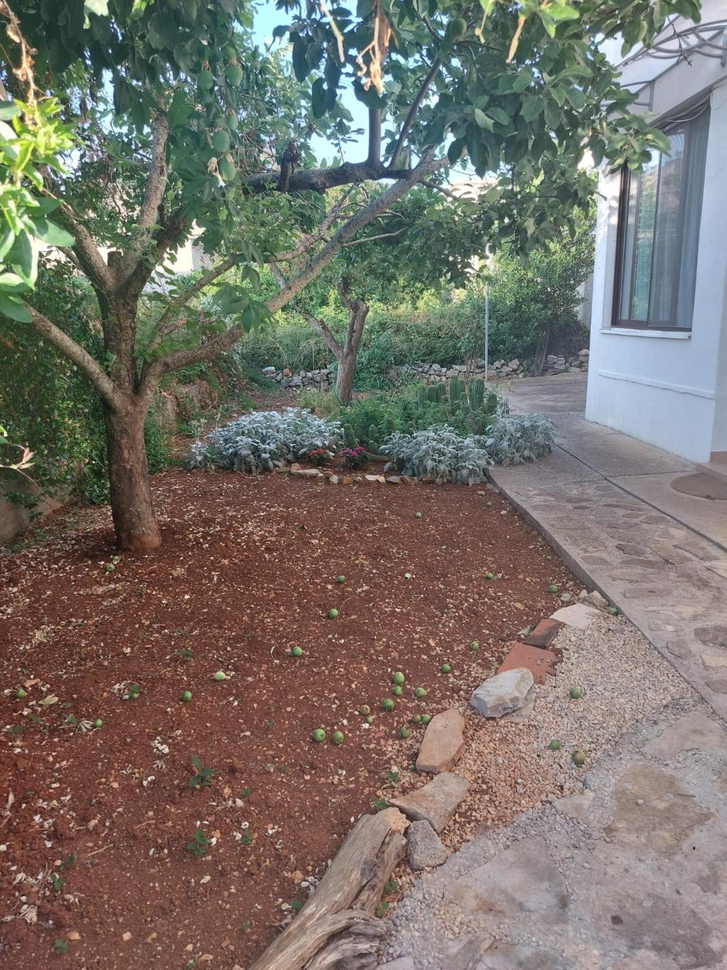 Apartment Bozava - Nena מראה חיצוני תמונה