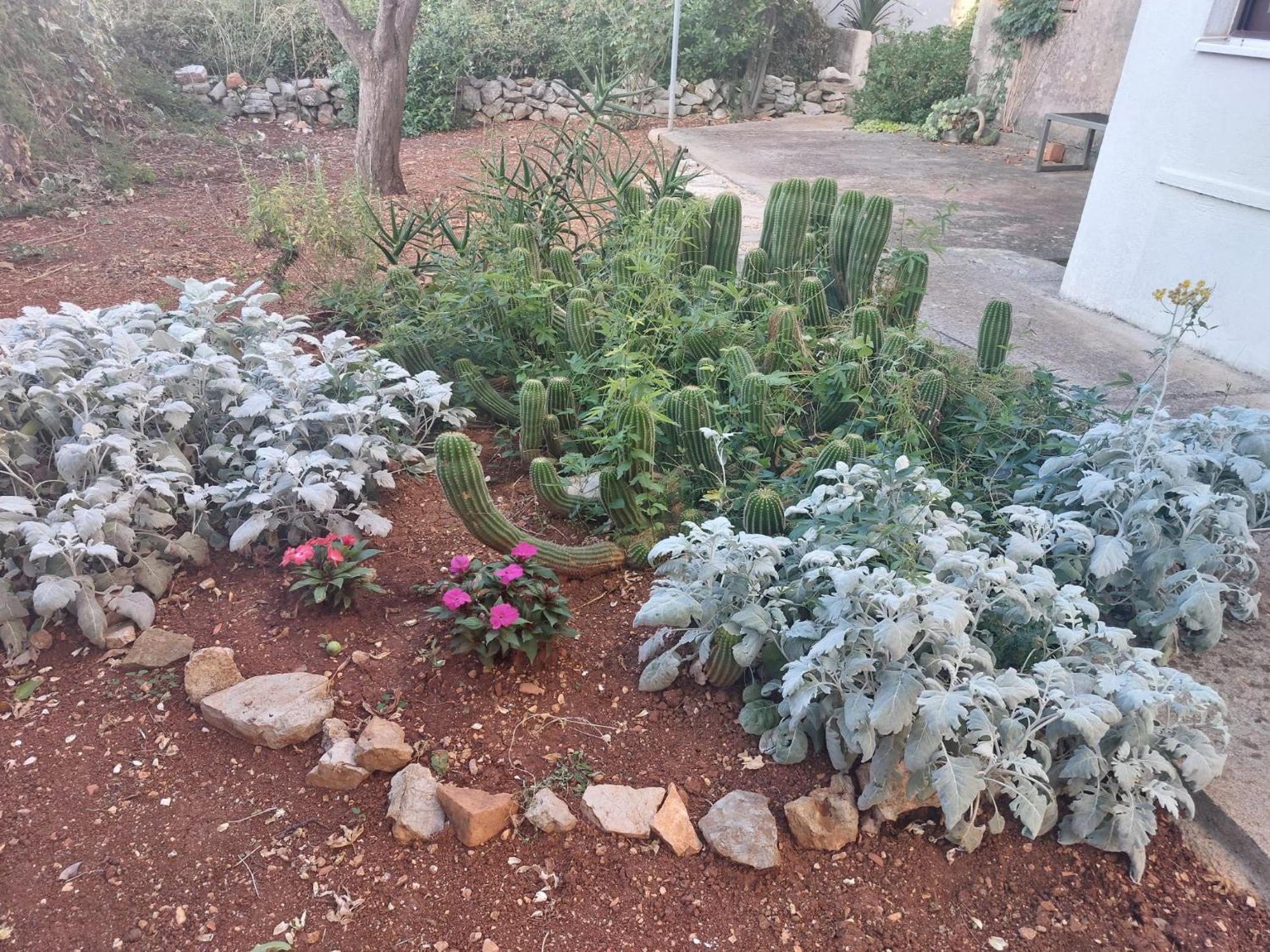 Apartment Bozava - Nena מראה חיצוני תמונה